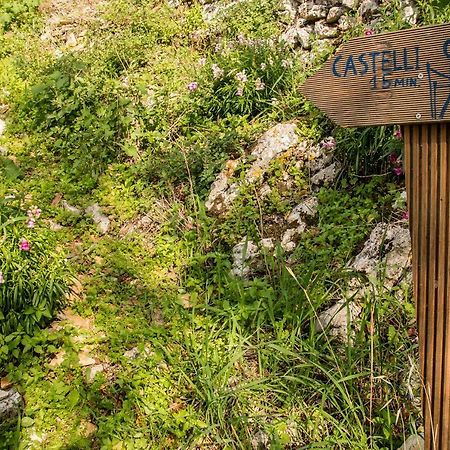 Hostal Castelli Olive Press Acharavi  Exterior foto