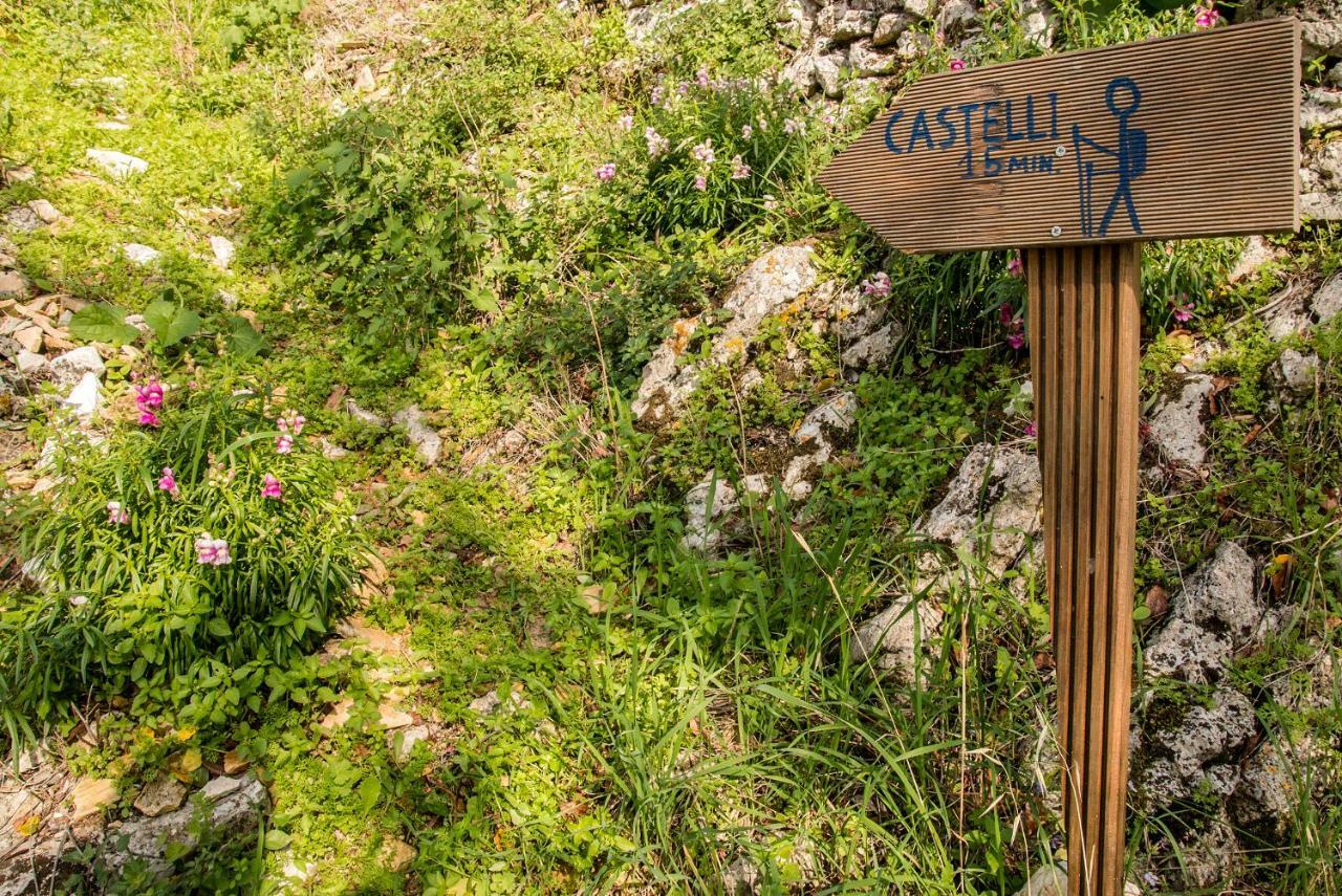 Hostal Castelli Olive Press Acharavi  Exterior foto