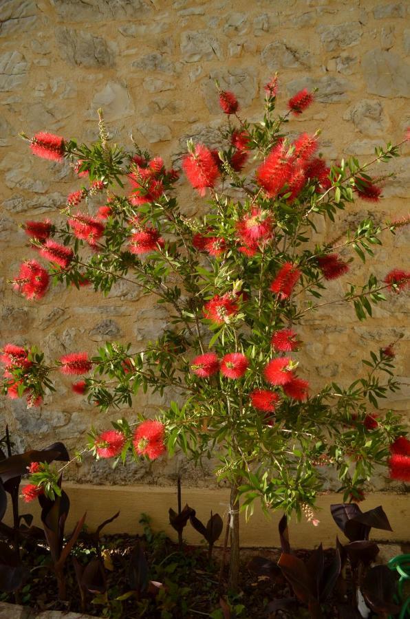 Hostal Castelli Olive Press Acharavi  Exterior foto